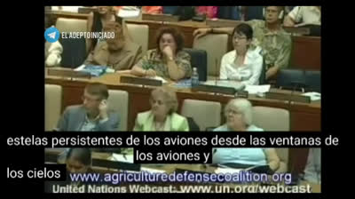 ROSALIND PETERSON EN LA ONU HABLA SOBRE CHEMTRAILS