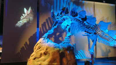 Dinópolis arranca la temporada con una nueva iluminación vanguardista en su Museo Paleontológico