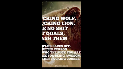 Be A Fucking Wolf Be A Fucking Lion Take No Shit Set Goals Smash Them Eat People’s Faces Off Shirt/Mug