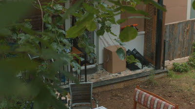 Late mi corazón / capitulo 43 / en español