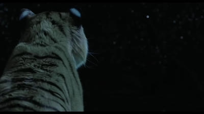 Pablo Tolotti - Navego en sueños