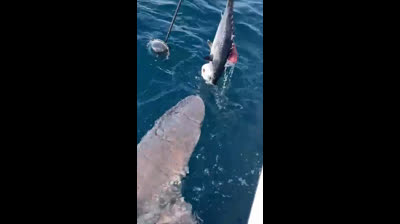 Caught Fuck All Fishing Club Funny Hat