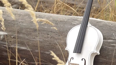 Pablo Tolotti - Lejos de mi Ser