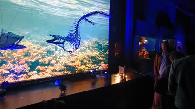 Mucha gente en Dinópolis .Y mucha gente contenta.....(Video)