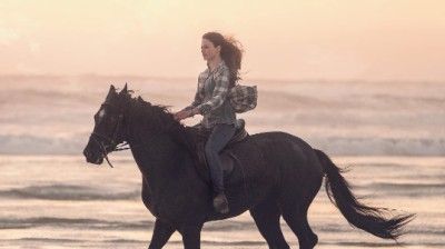 Black Beauty [2020 )