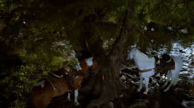 C-58 Lisete trata de seducir a Alejandro